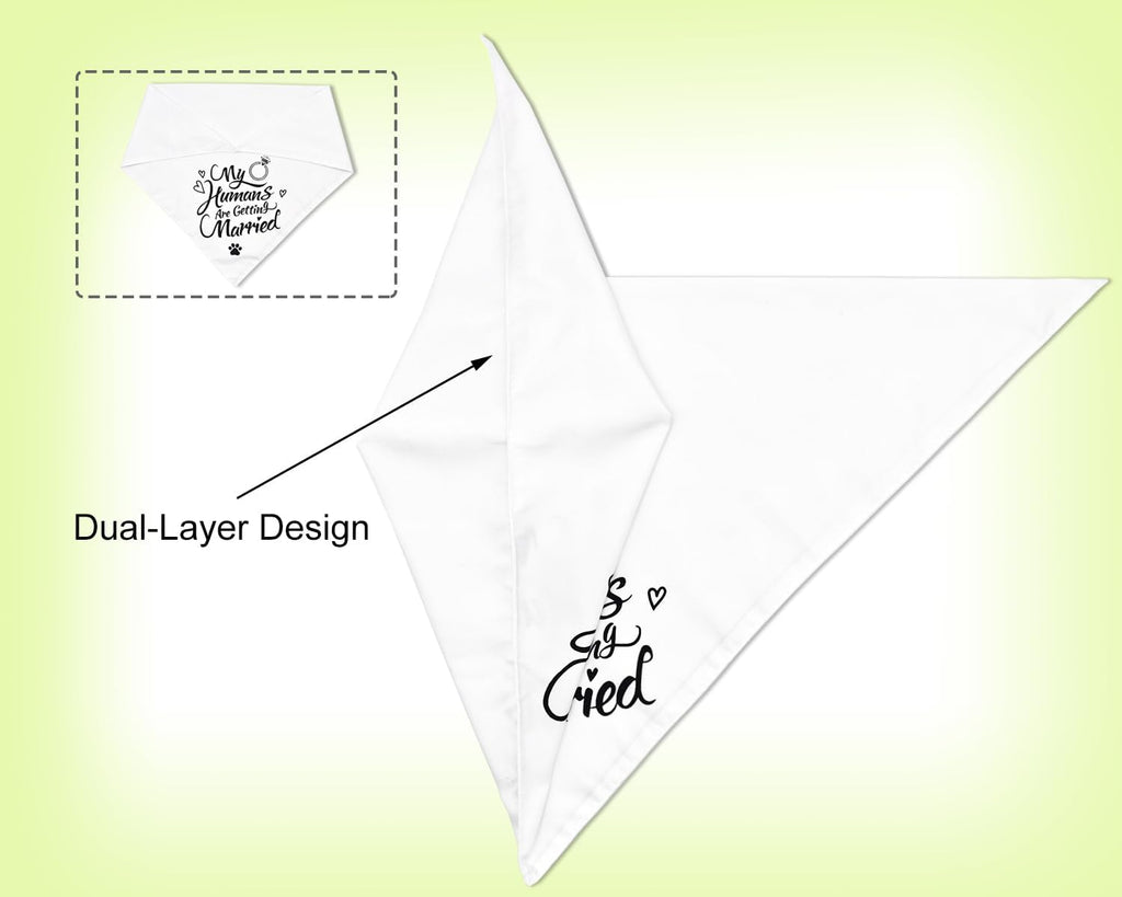 2PCS Christmas Dog Bandanas – Reversible Plaid with Tassels, Holiday Triangle Scarf for Boys & Girls, Classic Red-Green Winter Pet Outfit for Medium to Large Dogs