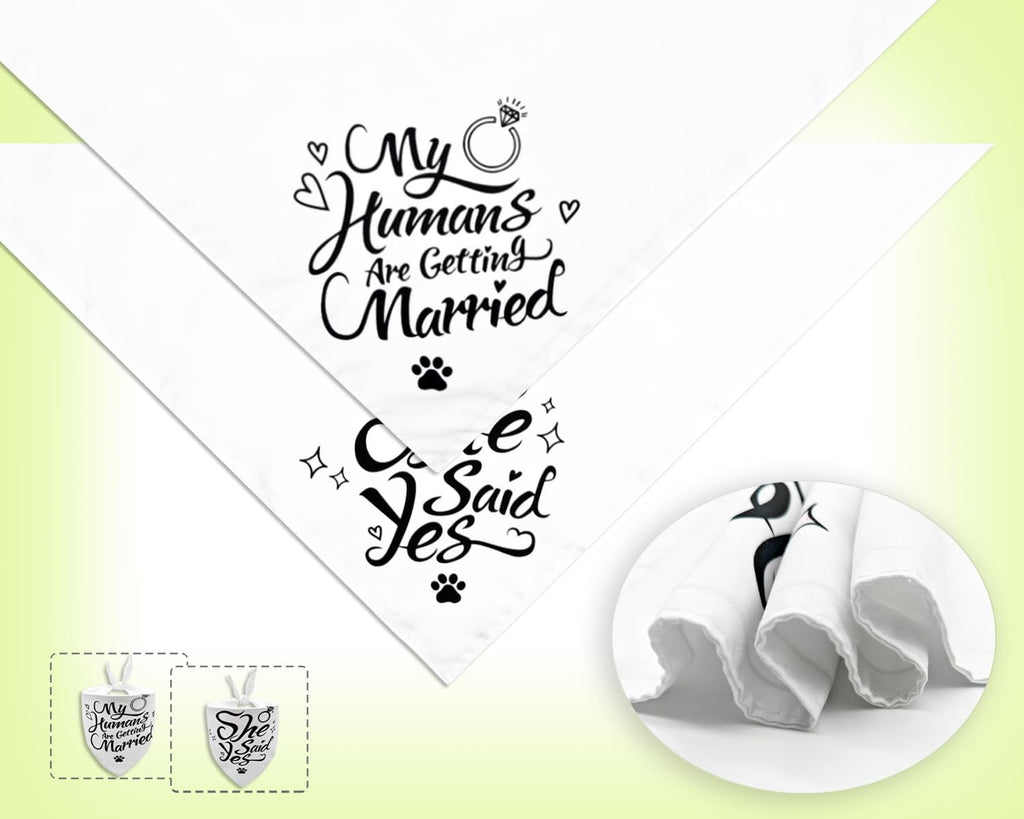 2PCS Christmas Dog Bandanas – Reversible Plaid with Tassels, Holiday Triangle Scarf for Boys & Girls, Classic Red-Green Winter Pet Outfit for Medium to Large Dogs