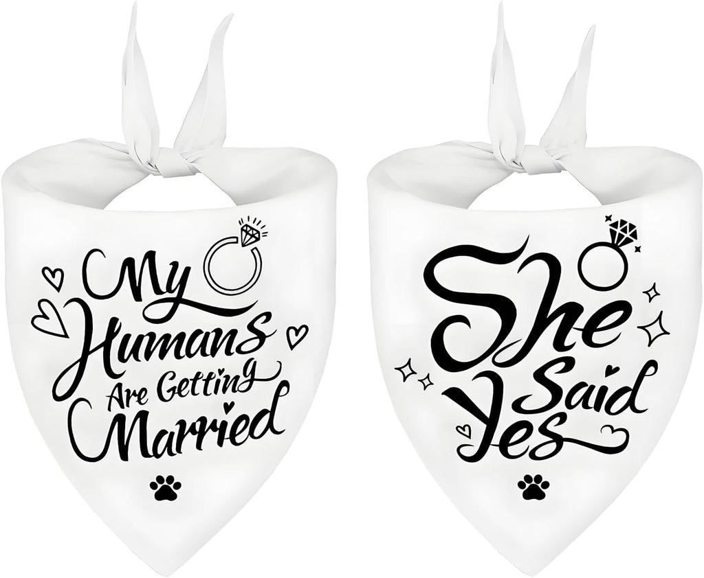 2PCS Christmas Dog Bandanas – Reversible Plaid with Tassels, Holiday Triangle Scarf for Boys & Girls, Classic Red-Green Winter Pet Outfit for Medium to Large Dogs