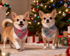 2PCS Christmas Dog Bandanas – Reversible Plaid with Tassels, Holiday Triangle Scarf for Boys & Girls, Classic Red-Green Winter Pet Outfit for Medium to Large Dogs