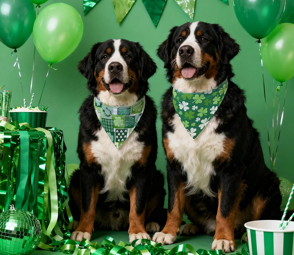 2PCS Christmas Dog Bandanas – Reversible Plaid with Tassels, Holiday Triangle Scarf for Boys & Girls, Classic Red-Green Winter Pet Outfit for Medium to Large Dogs