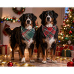 2PCS Christmas Dog Bandanas – Reversible Plaid with Tassels, Holiday Triangle Scarf for Boys & Girls, Classic Red-Green Winter Pet Outfit for Medium to Large Dogs